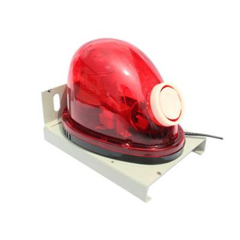 TLNMDL-P���������T